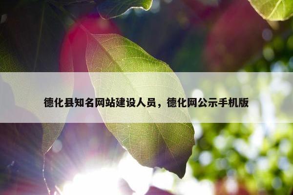 德化县知名网站建设人员，德化网公示手机版