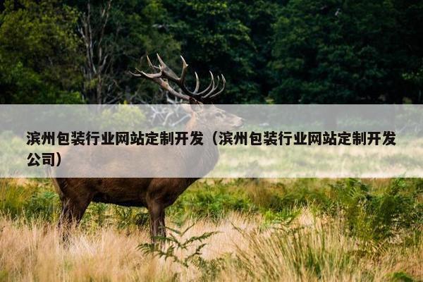 滨州包装行业网站定制开发（滨州包装行业网站定制开发公司）