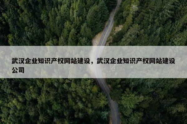 武汉企业知识产权网站建设，武汉企业知识产权网站建设公司
