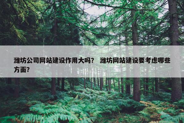 潍坊公司网站建设作用大吗？ 潍坊网站建设要考虑哪些方面？