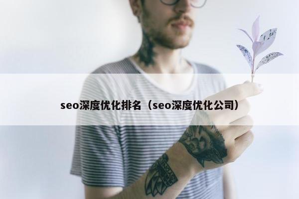seo深度优化排名（seo深度优化公司）