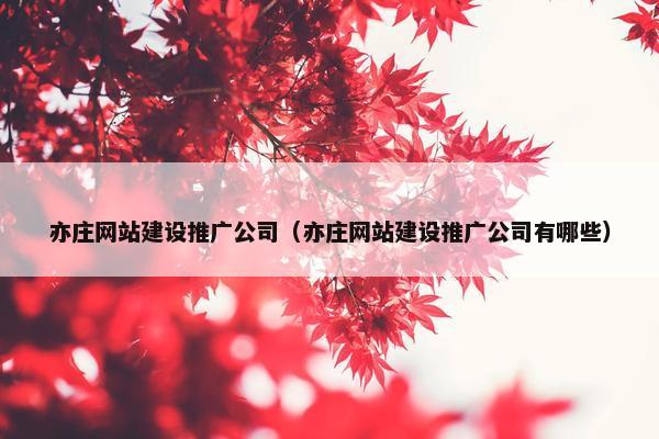 亦庄网站建设推广公司（亦庄网站建设推广公司有哪些）