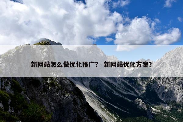 新网站怎么做优化推广？ 新网站优化方案？