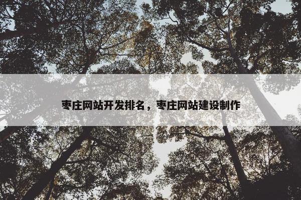枣庄网站开发排名，枣庄网站建设制作