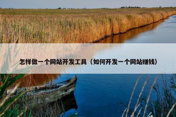 怎样做一个网站开发工具（如何开发一个网站赚钱）