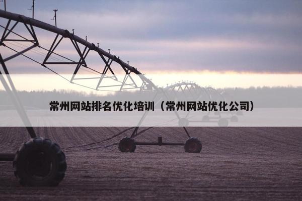 常州网站排名优化培训（常州网站优化公司）