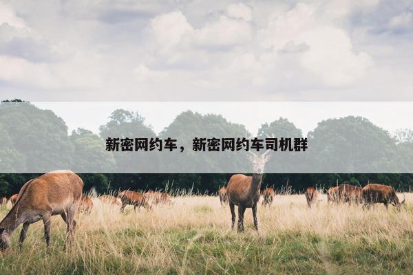 新密网约车，新密网约车司机群