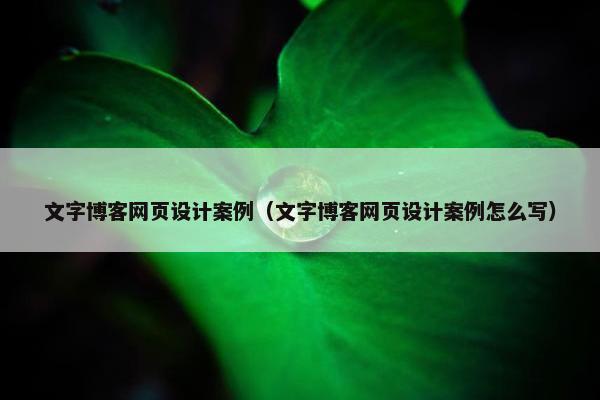 文字博客网页设计案例（文字博客网页设计案例怎么写）