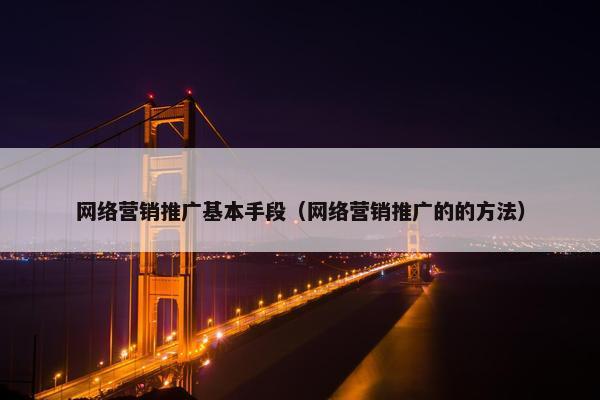 网络营销推广基本手段（网络营销推广的的方法）