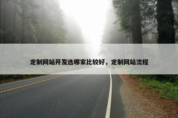 定制网站开发选哪家比较好，定制网站流程
