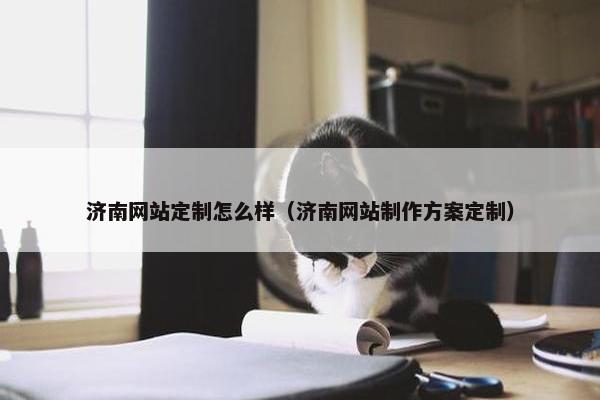 济南网站定制怎么样（济南网站制作方案定制）