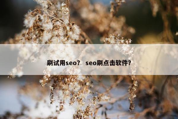 刷试用seo？ seo刷点击软件？