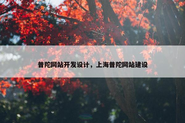 普陀网站开发设计，上海普陀网站建设