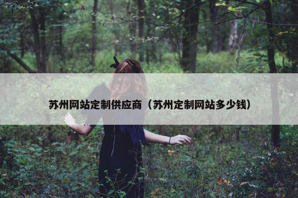 苏州网站定制供应商（苏州定制网站多少钱）