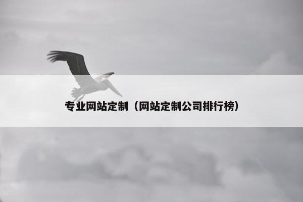 专业网站定制（网站定制公司排行榜）