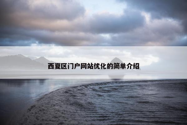 西夏区门户网站优化的简单介绍
