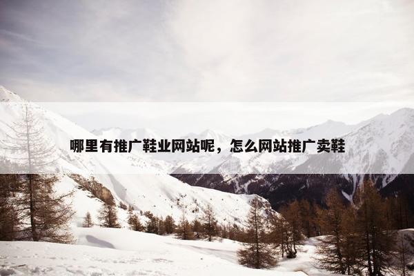 哪里有推广鞋业网站呢，怎么网站推广卖鞋