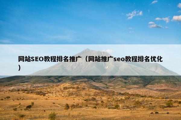 网站SEO教程排名推广（网站推广seo教程排名优化）