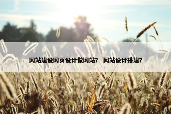 网站建设网页设计做网站？ 网站设计搭建？