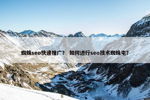 蜘蛛seo快速推广？ 如何进行seo技术蜘蛛屯？