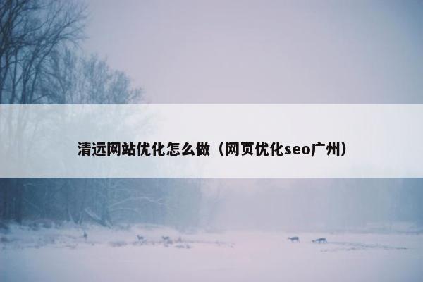 清远网站优化怎么做（网页优化seo广州）