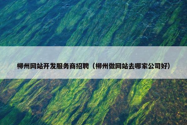 柳州网站开发服务商招聘（柳州做网站去哪家公司好）