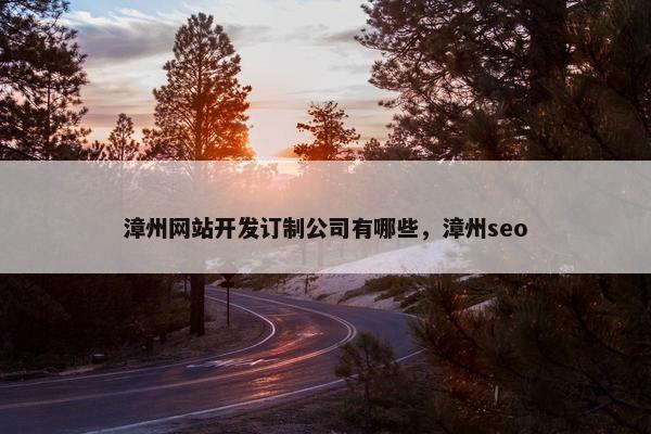 漳州网站开发订制公司有哪些，漳州seo