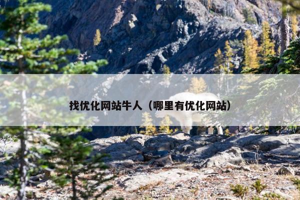 找优化网站牛人（哪里有优化网站）