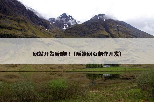 网站开发后端吗（后端网页制作开发）