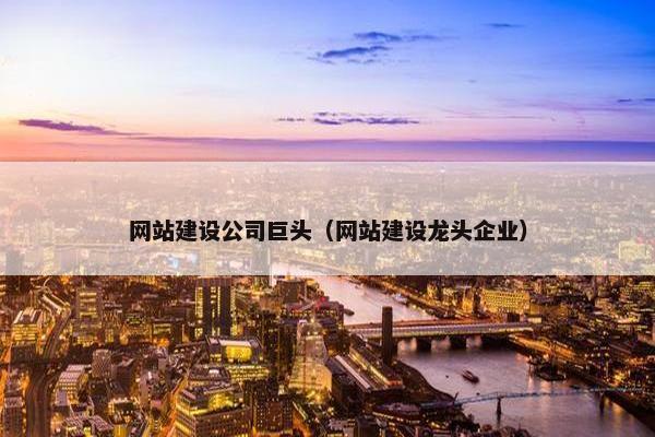 网站建设公司巨头（网站建设龙头企业）