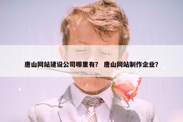 唐山网站建设公司哪里有？ 唐山网站制作企业？