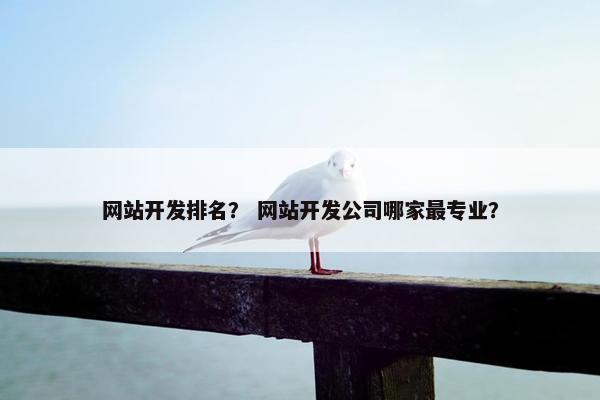 网站开发排名？ 网站开发公司哪家最专业？