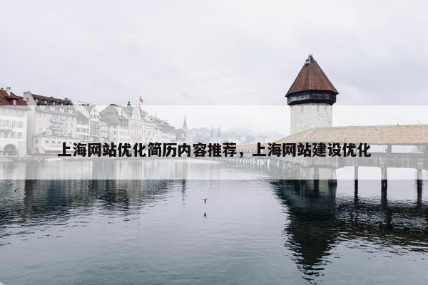 上海网站优化简历内容推荐，上海网站建设优化