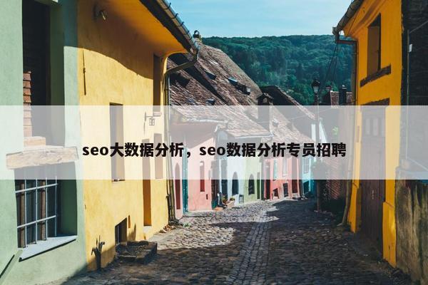seo大数据分析，seo数据分析专员招聘