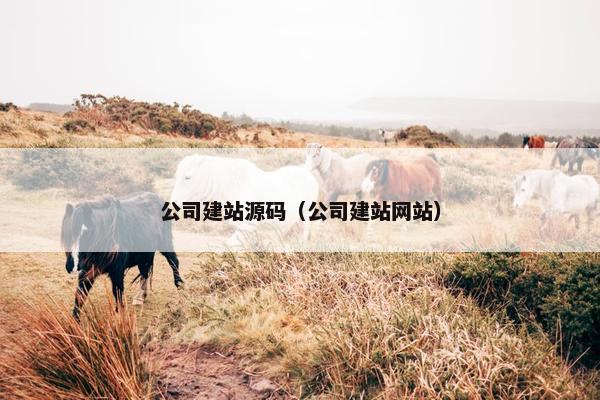 公司建站源码（公司建站网站）