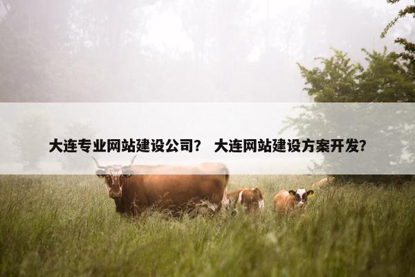 大连专业网站建设公司？ 大连网站建设方案开发？