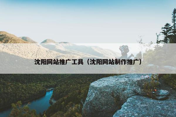 沈阳网站推广工具（沈阳网站制作推广）