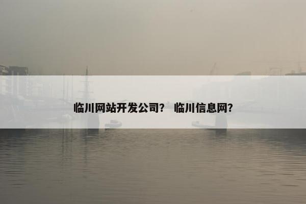 临川网站开发公司？ 临川信息网？