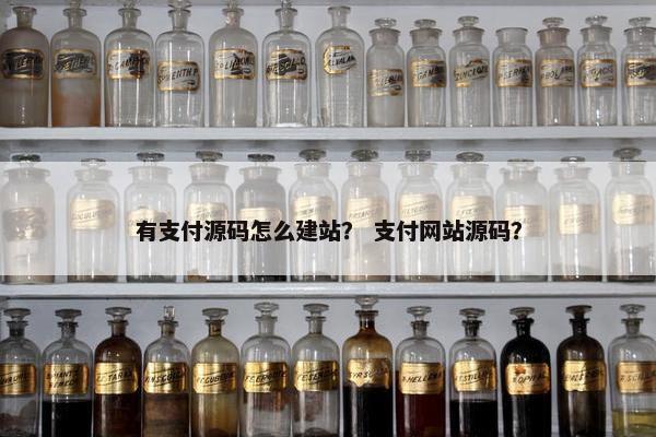 有支付源码怎么建站？ 支付网站源码？