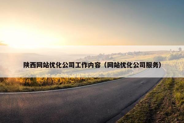 陕西网站优化公司工作内容（网站优化公司服务）