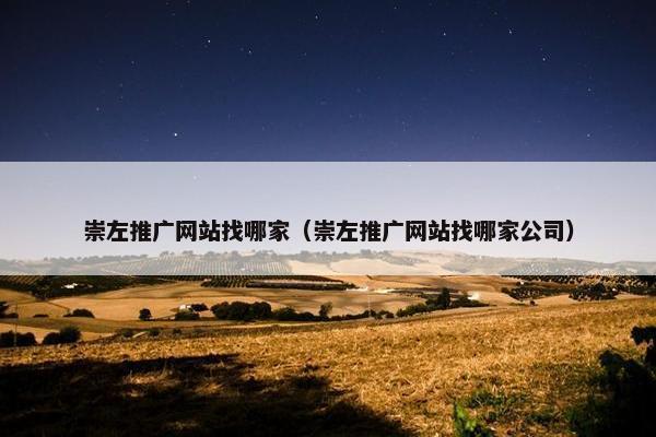 崇左推广网站找哪家（崇左推广网站找哪家公司）