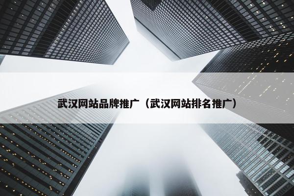 武汉网站品牌推广（武汉网站排名推广）