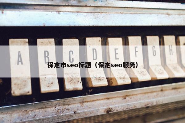 保定市seo标题（保定seo服务）