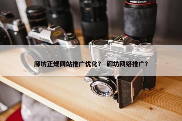 廊坊正规网站推广优化？ 廊坊网络推广？