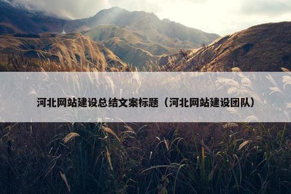 河北网站建设总结文案标题（河北网站建设团队）