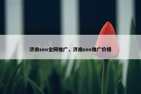 济南seo全网推广，济南seo推广价格