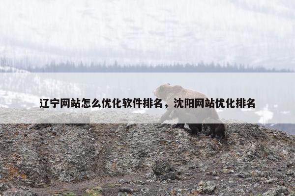 辽宁网站怎么优化软件排名，沈阳网站优化排名