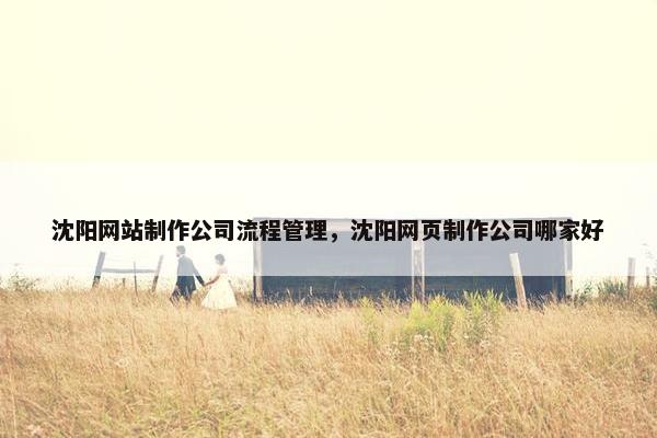 沈阳网站制作公司流程管理，沈阳网页制作公司哪家好