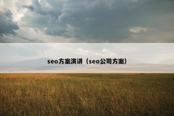 seo方案演讲（seo公司方案）