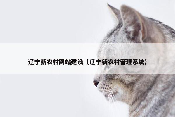 辽宁新农村网站建设（辽宁新农村管理系统）